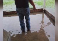 Taylor promises a drainage fix following storms