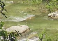 Barton Creek Greenbelt reopened, for now