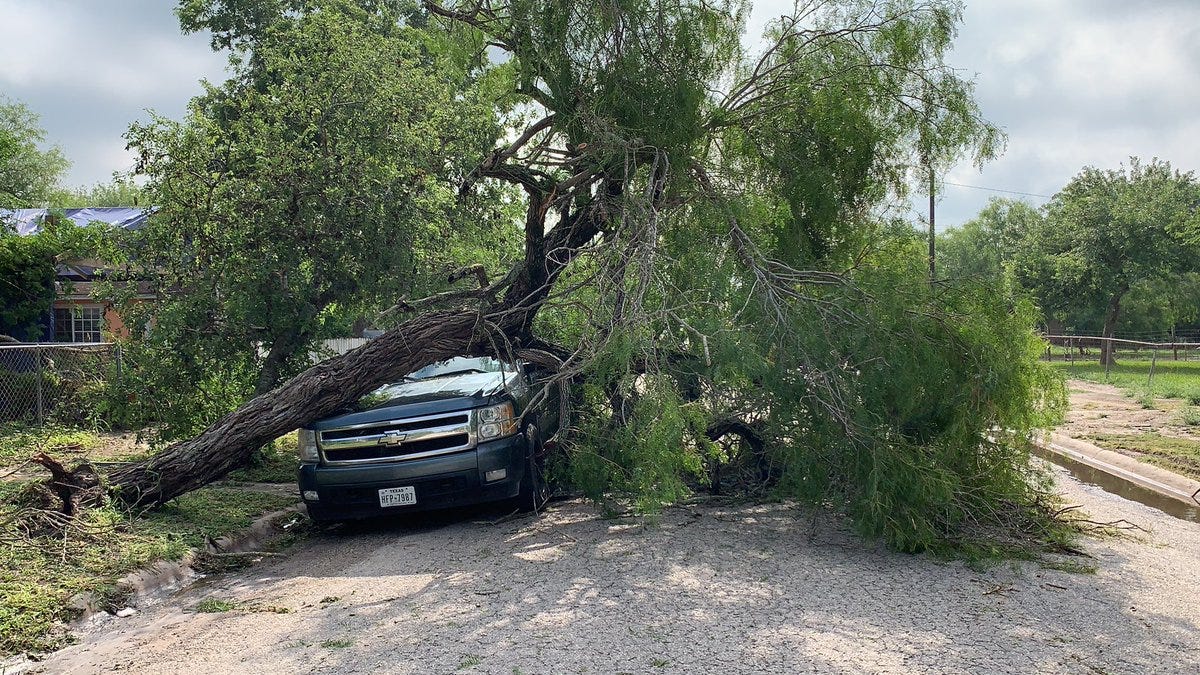 A downed tree lays on top of a pickup truck in the 600 block of Mesquite Street in Kingsville on Friday, June 7, 2019.