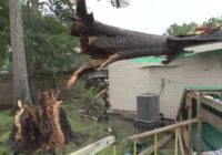 Tornado sends tree into child's bedroom; He woke up early only by chance