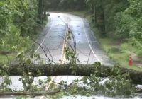 Severe weather: Storms, damaging winds knock out power to thousands in Raleigh, Fayetteville areas