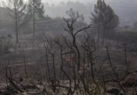 Wildfire rages in northeastern Spain, 53 evacuated