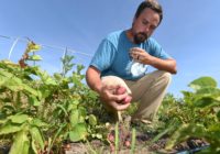 Thanks to community, hurricane-ravaged farm bounces back