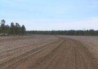 More than 3 million cubic yards of Florence debris converted into free mulch