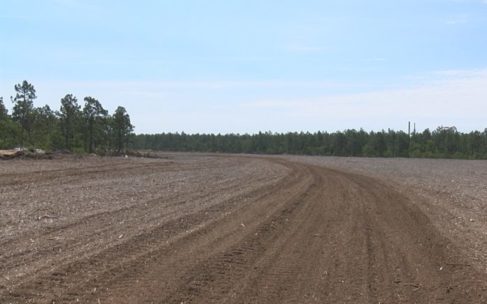 mulch debris yards million