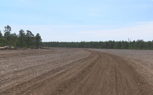 mulch debris yards million