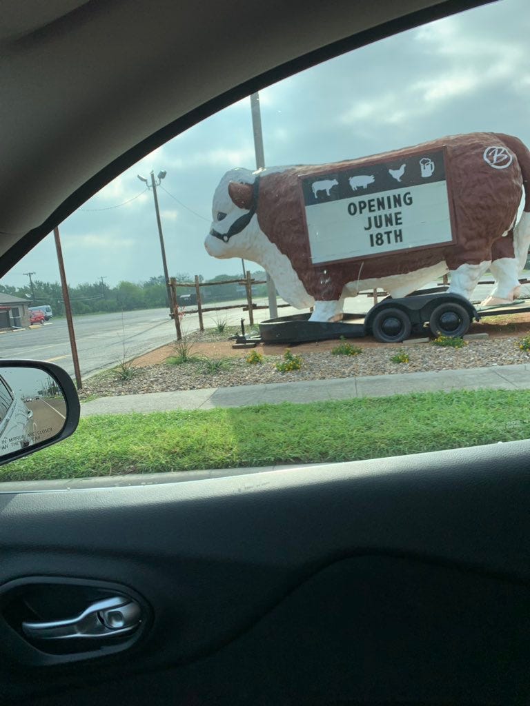 The giant cow outside Bray’s Smokehouse in Kingsville is still standing on Friday, June 7, 2019, without damage after a severe storm system rushed through.