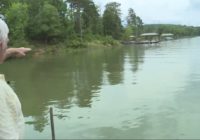 Concerns about more rain, potential flooding with debris still in waterways