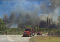 Austin Fire: Be prepared for summer wildfire season