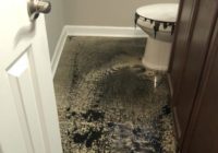 Sewer water floods Raleigh home, 5 On Your Side shares how to prevent it