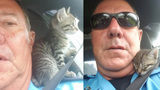 Lafourche Parish Sheriff&#39;s Deputy Harry Guillot is pictured with &ldquo;Crash,&rdquo; a 4-week-old kitten who was found July 11 in a crashed car in Louisiana. (Photo credit: Lafourche Parish Sheriff&#39;s Office)