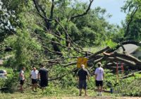 Dallas Developing ‘Master Plan’ To Plant More Trees After June Storm Damage