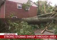 Another stormy day brings risks of flooding, lightning strikes to Raleigh