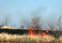 Two Wildfires With Unknown Causes Burning Through Panhandle Brush Land