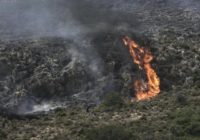 Tourists evacuated from Greek island camp as wildfire rages