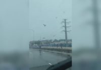 Watch: Group rescues pelican in distress during Hurricane Dorian Watch: Group rescues pelican in distress during Hurricane Dorian