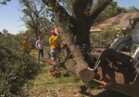 Community Comes Together To Help Clean Richardson Tornado Damage