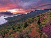 2019 NC Fall Foliage