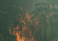 Australian wildfires destroy homes and force evacuations