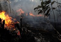 Deadly storms, deep freezes, raging wildfires: How 2019's wild weather impacted US