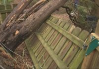 Carolinas pummeled by Saturday's severe weather