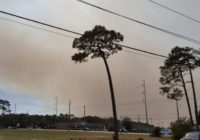 Orton Plantation announces hurricane debris prescribed burn