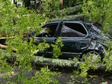 Storm damage