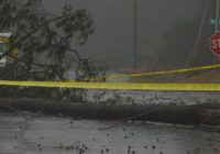 Power outages: Crews restore power to parts of NC after storms as residents report damage, flooding