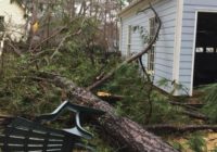 First aerial views of storm damage in Raleigh