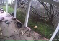 NWS confirms EF-1 tornado in south Charlotte
