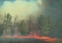 2011 Bastrop County wildfire: $5M settlement reached in case against tree company