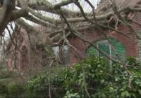'That little shed, it had to be God', worker describes surviving tornado in Matthews