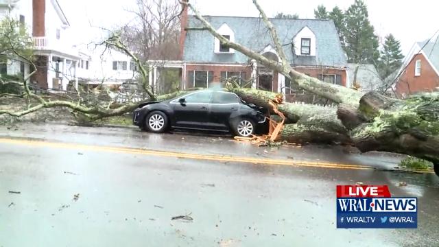 Tree down on Brooks Avenue in Raleigh