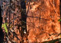 Pender County wildfire has potential to spread