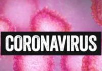 Nursing homes could face 'wildfire' spread of coronavirus