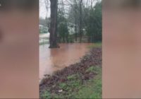 Belmont neighbors concerned about frequent flooding