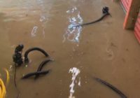 Austin Pets Alive! Town Lake Animal Center experiences flooding
