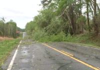 NC weather: EF1 tornado confirmed in Alamance County