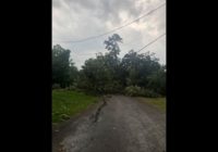 Tornado kills at least 3, injures 20 to 30 northeast of Houston | Watch live update from Polk County