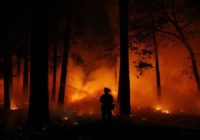 Coronavirus forces new approaches to fighting wildfires