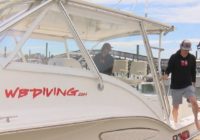 ‘This is almost like a spring hurricane’: COVID-19 restrictions dry up diving business