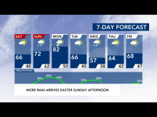 7-Day Forecast