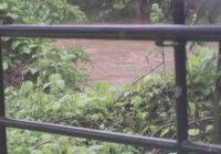 Tropical Depression Bertha rain causes creek flooding in Charlotte