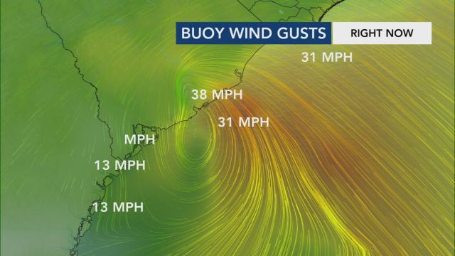 Wind gusts from Tropical Storm Bertha