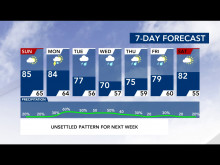 7-Day Forecast