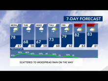 7-Day Forecast