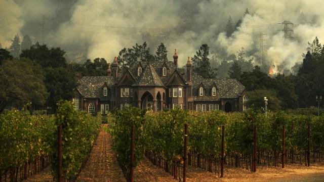 California_Wildfires-Wine_Country_19866