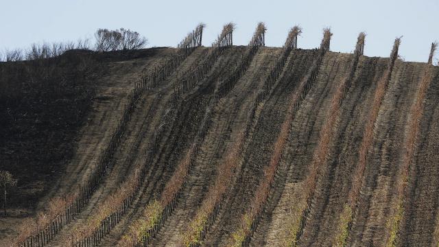 California_Wildfires_Wine_Country_60218