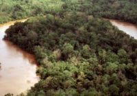 Hurricane Laura caused Neches River to flow backward for 12 hours