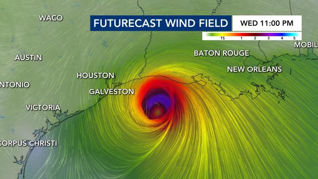 Futurecast wind field from Hurricane Laura